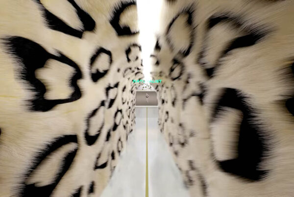 Cartier. Digital Experience